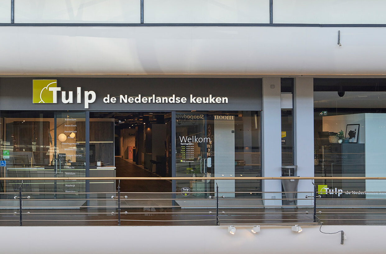 Tulp Rotterdam