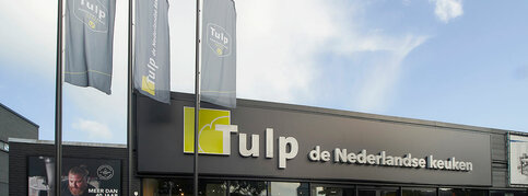 Tulp Utrecht